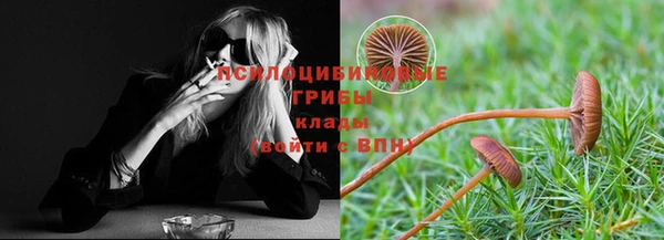 ГАЛЛЮЦИНОГЕННЫЕ ГРИБЫ Абинск